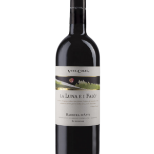 barbera-asti-superiore--vite-colte