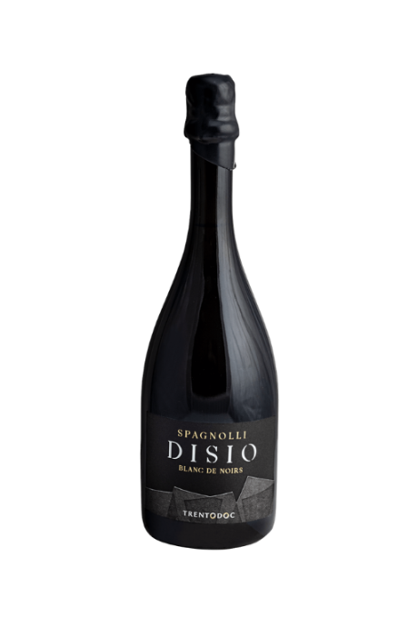 Spagnolli Disio Trent Doc