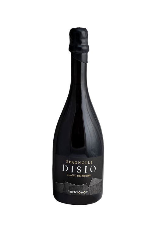Spagnolli Disio Trent Doc
