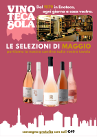 Volantino 2006